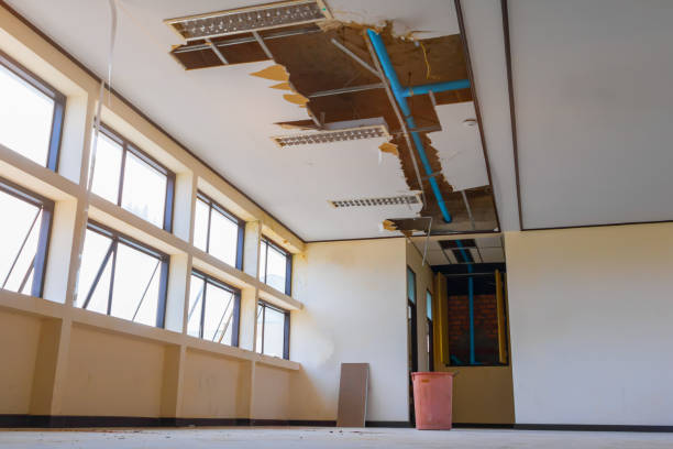 Best Water damage restoration near me  in Alliance, OH