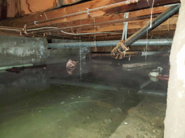 Best Water damage restoration services  in Alliance, OH