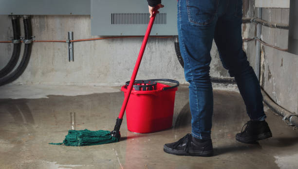 Best Basement water damage restoration  in Alliance, OH
