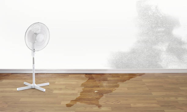 Trusted Alliance, OH Water damage restoration Experts