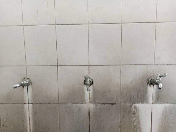 Best Flooded house restoration  in Alliance, OH
