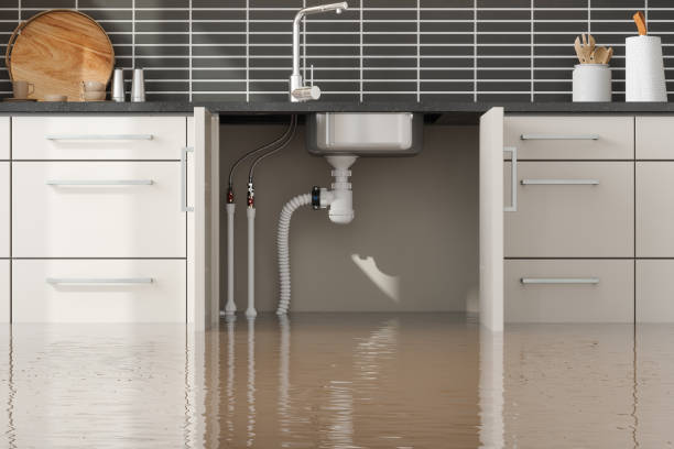 Best Sewage cleanup and water damage restoration  in Alliance, OH